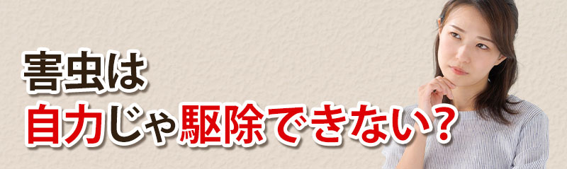 害虫は自分じゃ駆除できない？