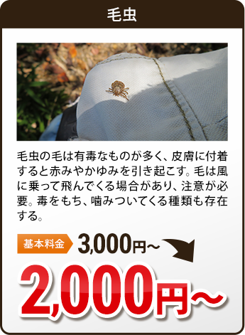 その他害虫