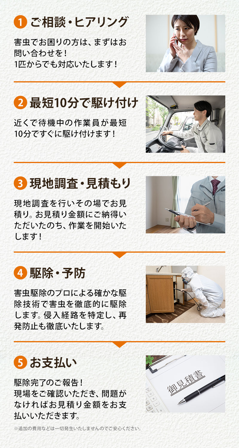 1安心の駆除方法・2最短10分で駆け付け・3現地調査見積もり・4駆除予防・5お支払い